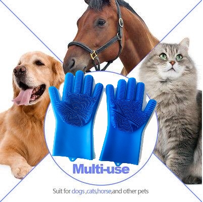 Gloves are great for farm animals as well.