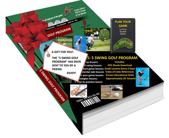 A perfect gift - ebook "The 5 swing golf program".